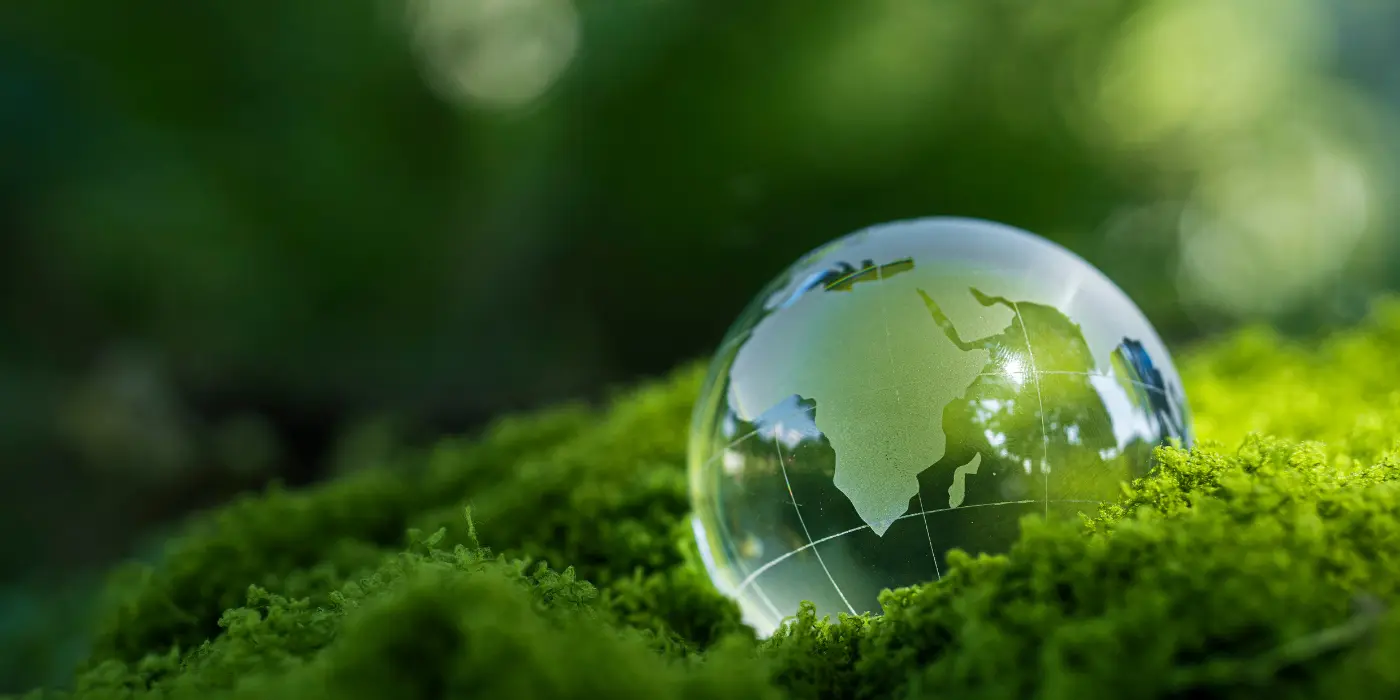 Green commerce