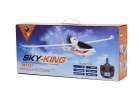 WLtoys Sky King F959 2.4GHz RC Aircraft 2
