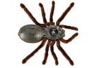 Pająk TARANTULA Zdalnie Sterowany robot na pilota + PILOT 4