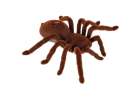 Remote Controlled TARANTULA Spider + PILOT 2