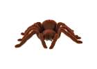 Remote Controlled TARANTULA Spider + PILOT 7
