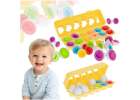 Educational puzzle sorter match egg shapes 12pcs 1