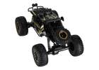 RC car Rock Crawler 2.4GHz 1:8 51cm black 7