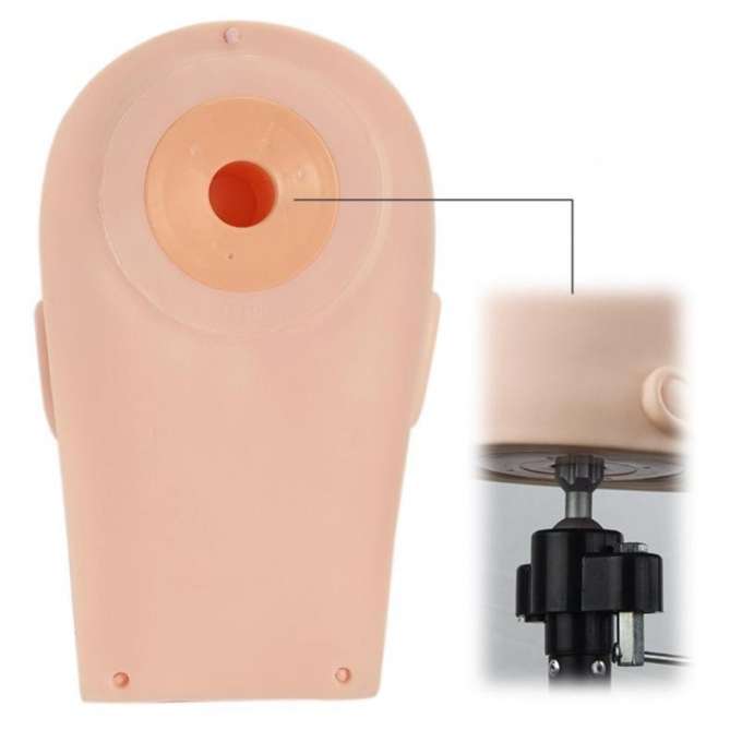 Head Training head for eyelash extensions