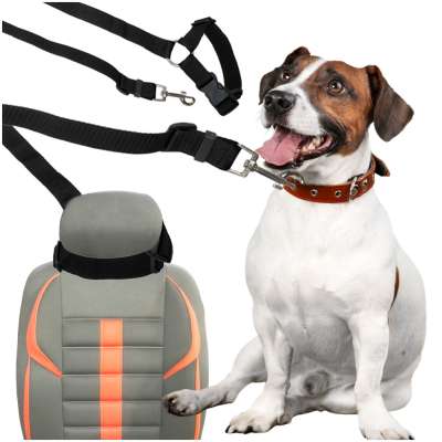 Car seat belt leash for dog cat