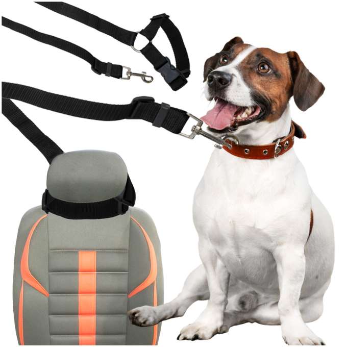 Car seat belt leash for dog cat