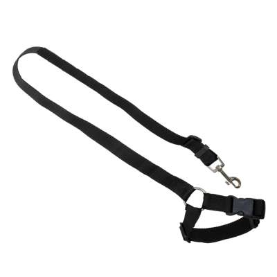 Car seat belt leash for dog cat
