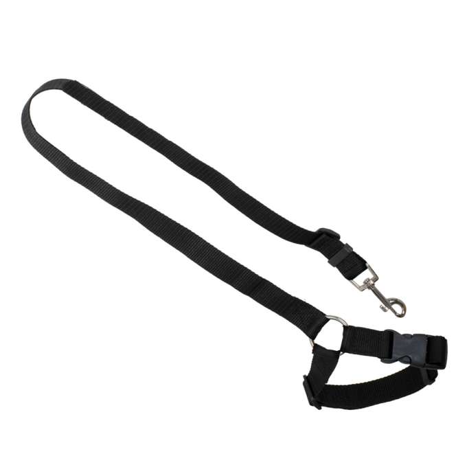 Car seat belt leash for dog cat