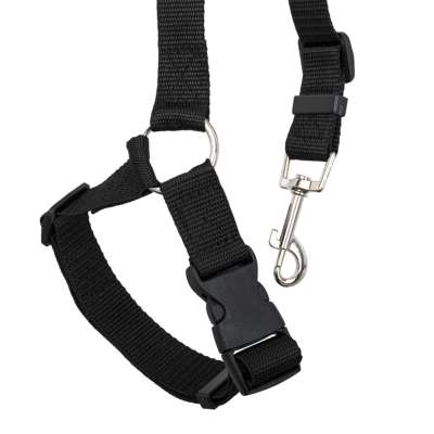 Car seat belt leash for dog cat