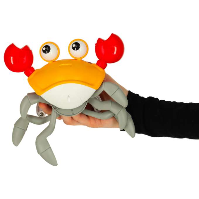 Crab crawling interactive with sound red