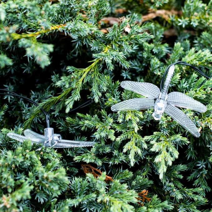 Solar dragonfly garden lights 6.5m 30LED warm white
