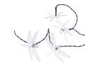 Solar garden lights dragonflies 6,5m 30LED multicolor 2