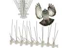 Metal spikes for birds pigeons 50cm x 11cm x 4cm 1
