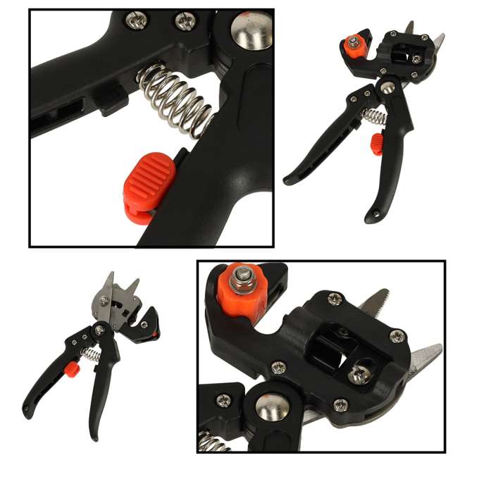 Secateurs for grafting trees of shrubs