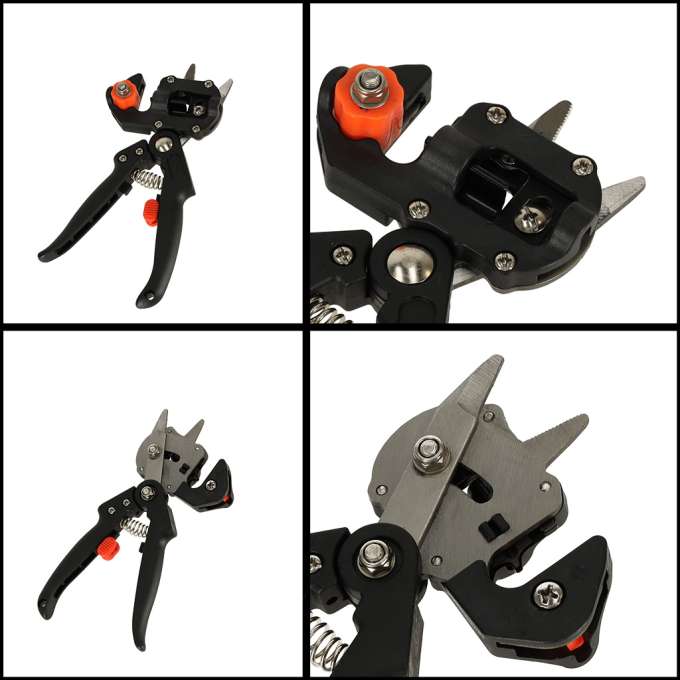 Secateurs for grafting trees of shrubs