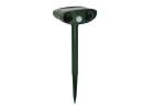 Repellent against cats martens mice 5