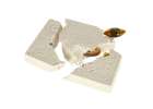 Archaeological excavation set insects in amber 3