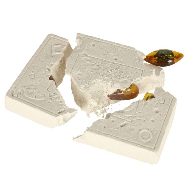 Archaeological excavation set insects in amber