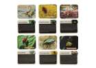 Archaeological excavation set insects in amber 5
