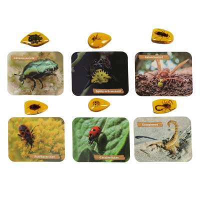 Archaeological excavation set insects in amber