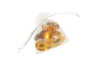 Archaeological excavation set insects in amber 8