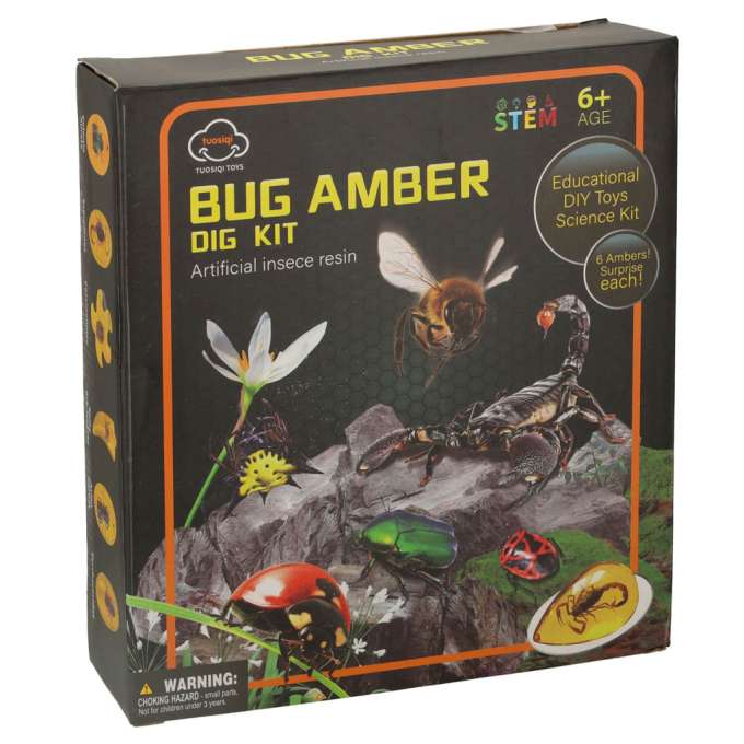 Archaeological excavation set insects in amber