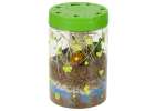 Hodowla dinozaurów terrarium projektor z lampką nocną LED 12