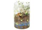 Hodowla dinozaurów terrarium projektor z lampką nocną LED 13