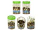 Hodowla dinozaurów terrarium projektor z lampką nocną LED 15