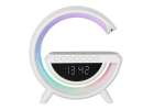 LED light with induction charger with radio 2