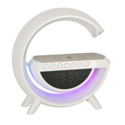 LED light with induction charger with radio