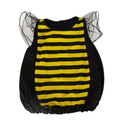 Carnival costume bee 2 el