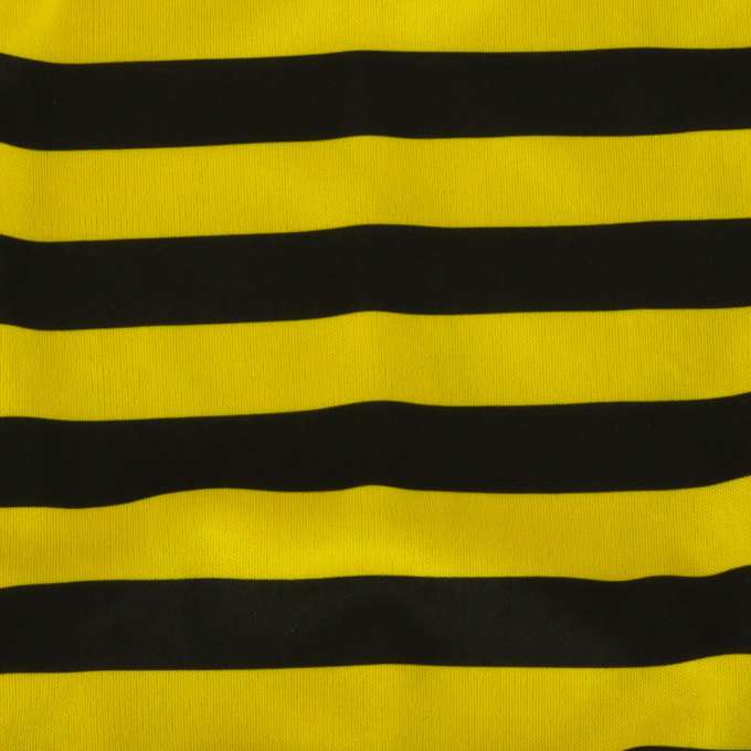 Carnival costume bee 2 el