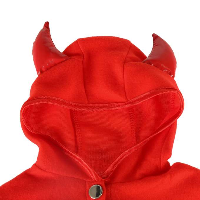 Carnival costume devil