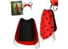 Ladybird costume size S 1