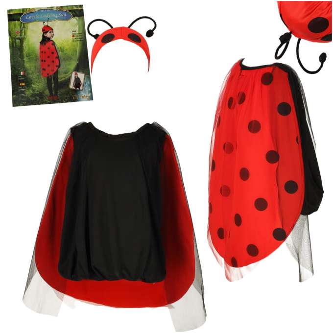 Ladybird costume size S