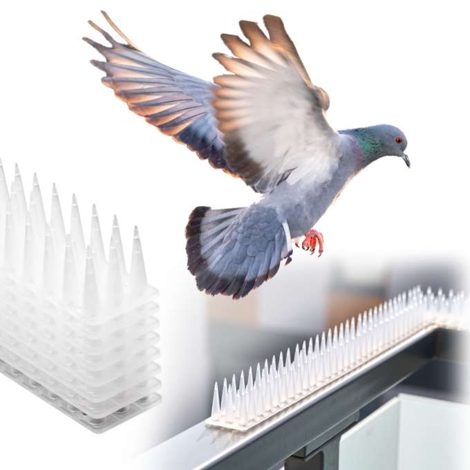 Pigeon spikes strip bird deterrent plastic dense white 8pcs 43 cm