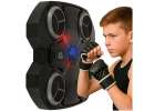 Boxing shield training wall trainer music LED lights USB 1