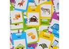 Card reader for learning English vocabulary fade 8.5'' fiche blue 9