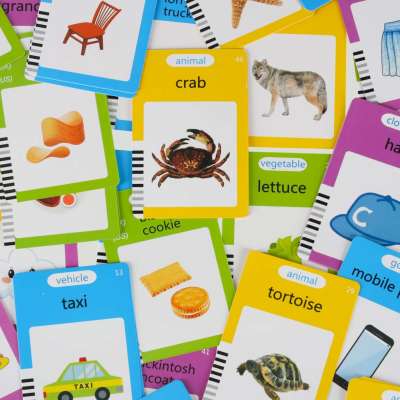 Card reader for learning English vocabulary fade 8.5'' fiche blue