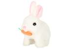 Carrot bunny rabbit walks wiggles ears 4