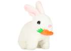 Carrot bunny rabbit walks wiggles ears 6