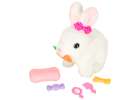 Carrot bunny rabbit walks wiggles ears 11