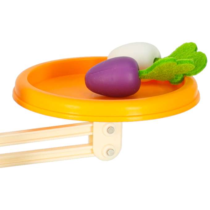 Carrot field family board game for children