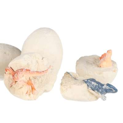 Dinosaurs excavation dinosaur eggs figures archaeological set 12 eggs