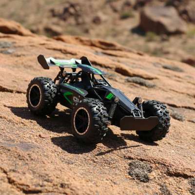 High Speed Stunt 1:18 18km/h 2.4GHz remote controlled car