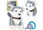 Interactive Puppy on a Leash – Barking Walking and Tail-Wagging Husky 1