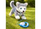 Interactive Puppy on a Leash – Barking Walking and Tail-Wagging Husky 13