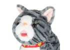 Interactive cat on leash movement sound grey 3
