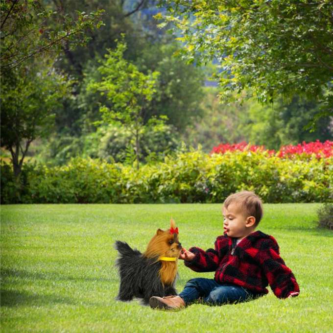 Interactive dog reacts to touch, moves, walks, barks York